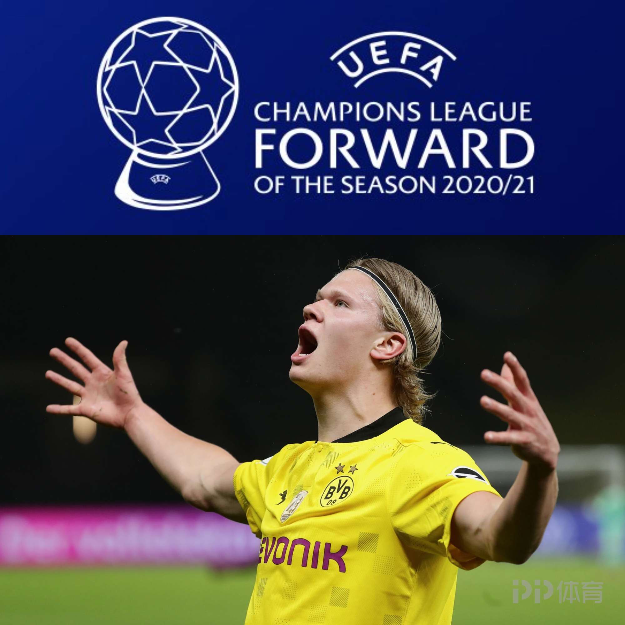 宣布寻找新 宣布寻找新