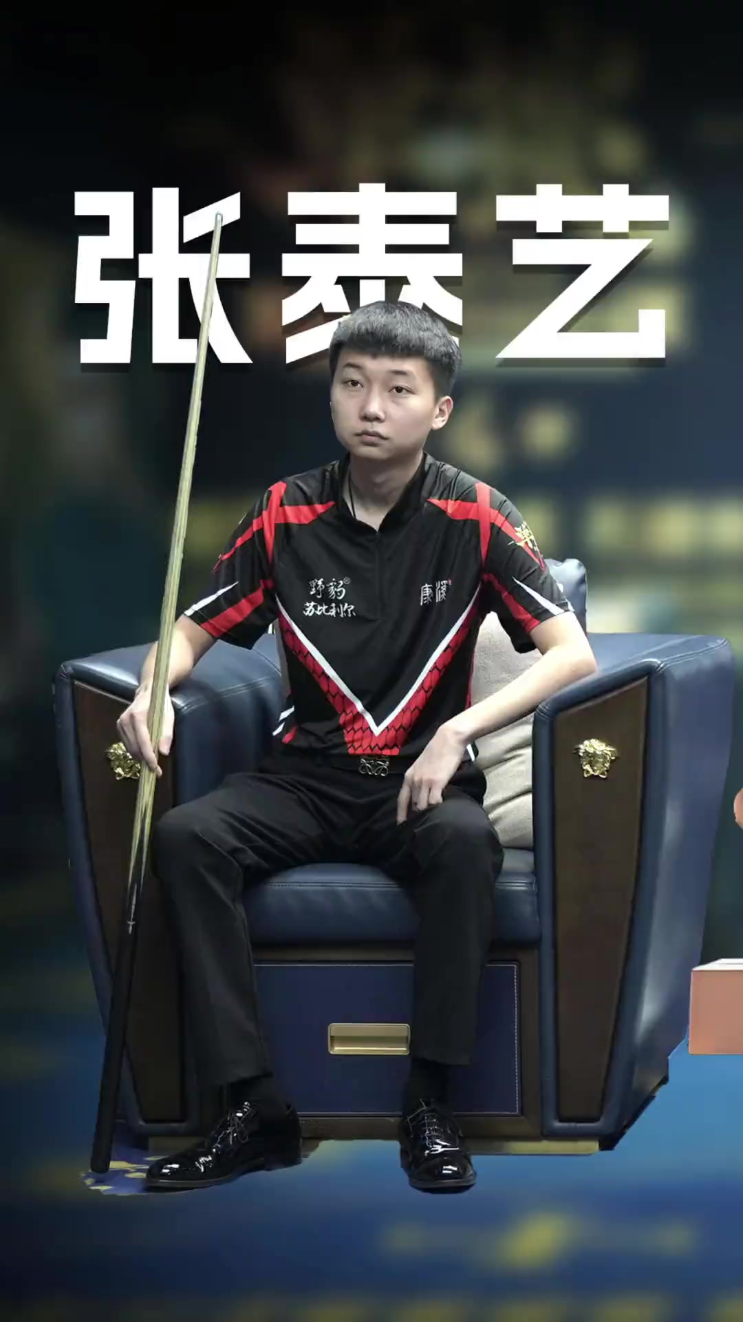 与决策回归 与决策回归