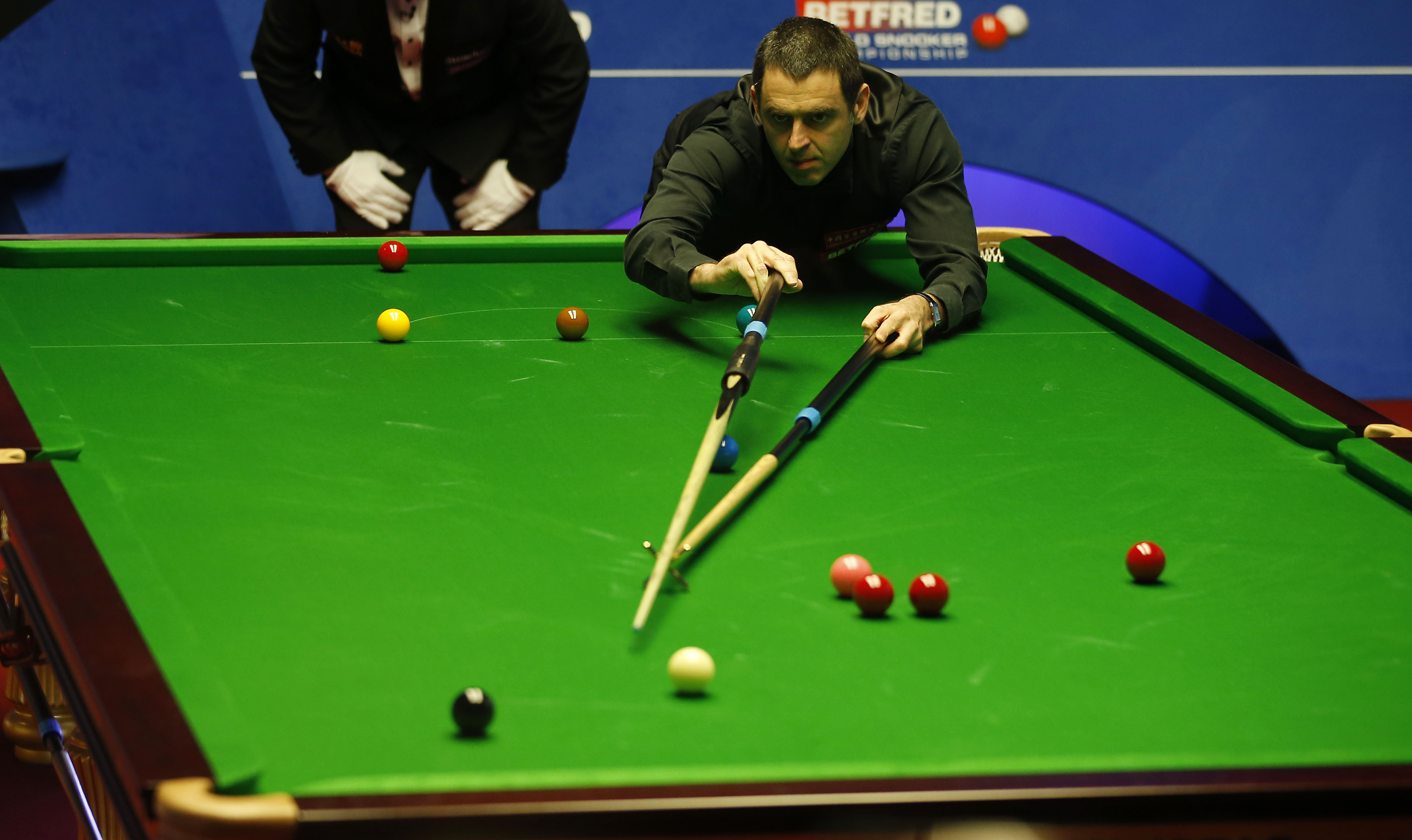 真正决定归 真正决定归